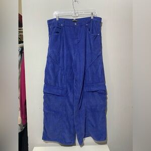NWOT Urban Outfitters Indigo Corduroy Pants